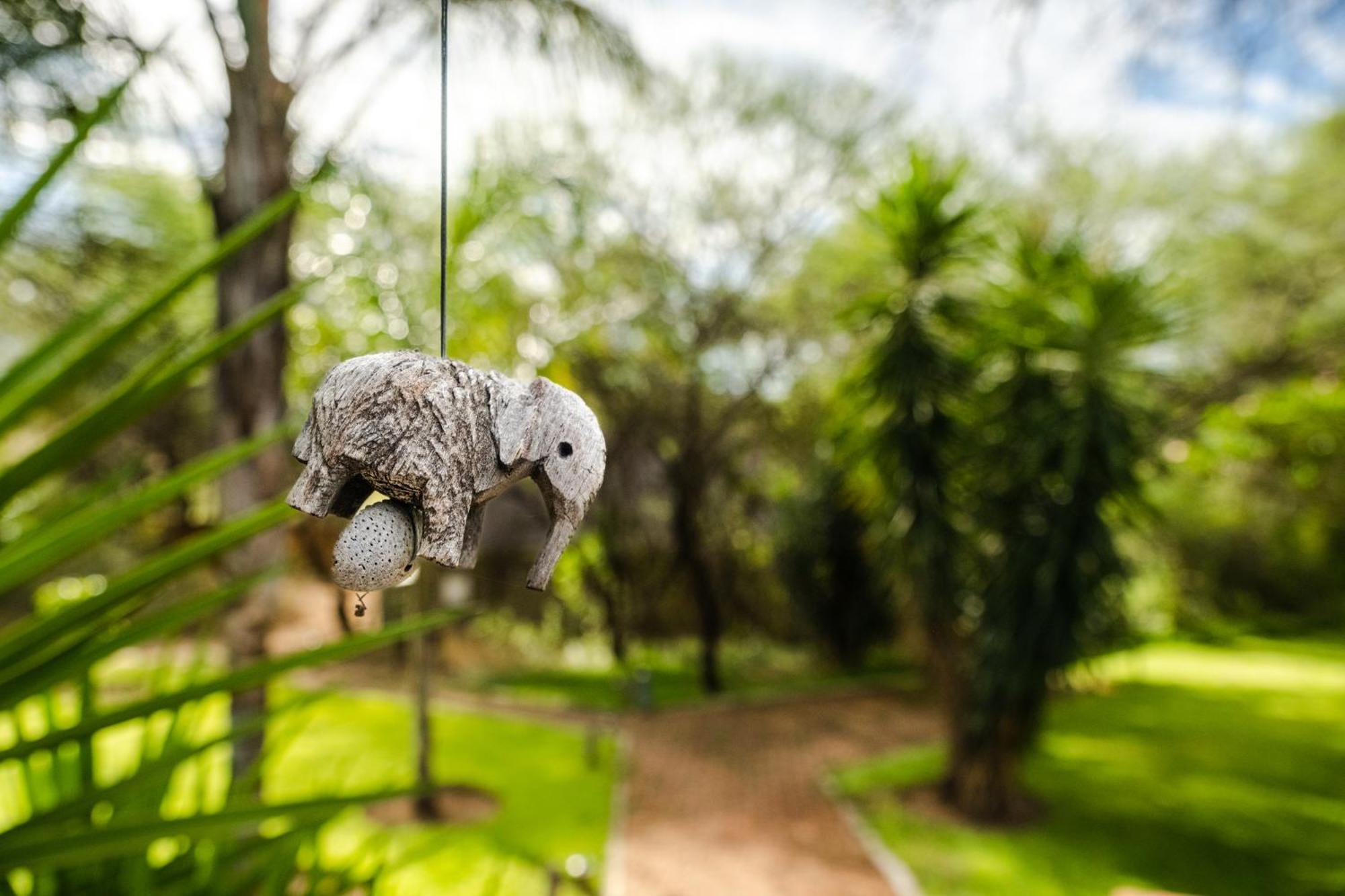 Taranga Safari Lodge Rundu Dış mekan fotoğraf